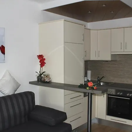 Haus Franz Gæstehus 3*