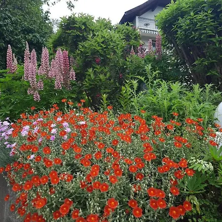 Guest house Haus Franz Millstatt