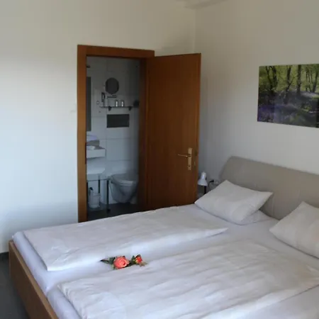 Haus Franz Guest house