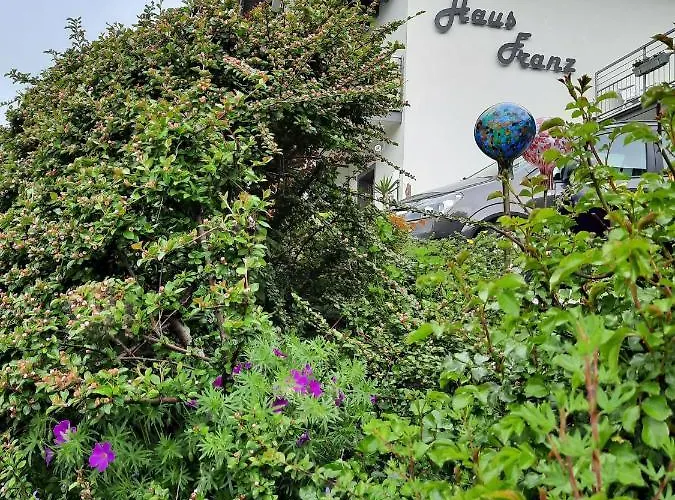 Penzion Haus Franz 3*