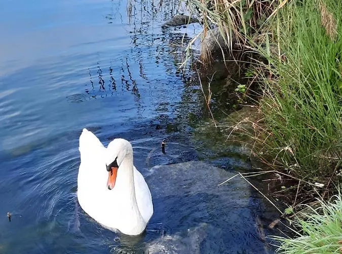 Haus Franz Penzion 3*