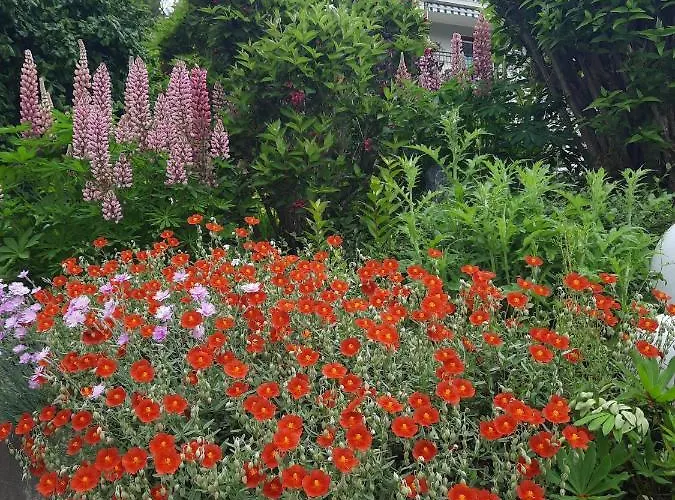 Penzion Haus Franz Millstatt